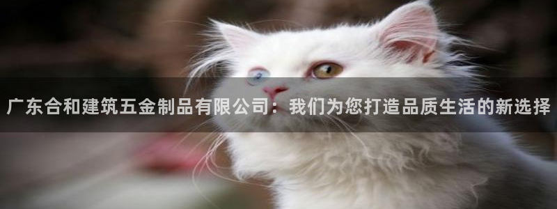 云顶国际二手房出售价格