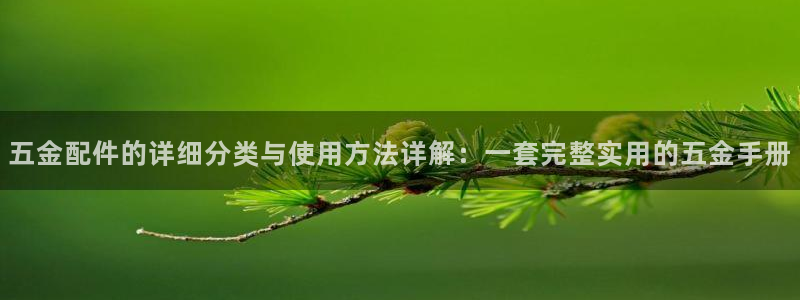 太原云顶国际酒店老板是谁