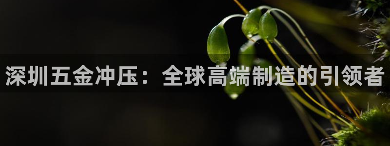 淮北云顶国际俱乐部电话