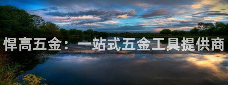 云顶国际比赛